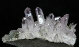 Spectacular Amethyst Crystal Cluster - Las Vigas, Mexico #31946-4